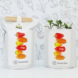 KIT CULTIVO BOLSA PIMIENTO DULCE