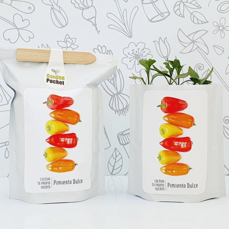 KIT CULTIVO BOLSA PIMIENTO DULCE