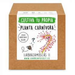 KIT CULTIVO PLANTA CARNIVORA ABRAZAMOSCAS