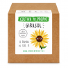 KIT CULTIVO CAJA GIRASOL