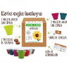 KIT CULTIVO CAJA GIRASOL