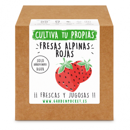KIT CULTIVO CAJA FRESAS ALPINAS ROJAS