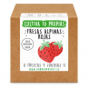 KIT CULTIVO CAJA FRESAS ALPINAS ROJAS