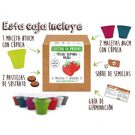 KIT CULTIVO CAJA FRESAS ALPINAS ROJAS