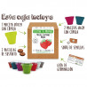KIT CULTIVO CAJA FRESAS ALPINAS ROJAS
