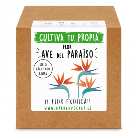 KIT CULTIVO CAJA AVE PARAISO