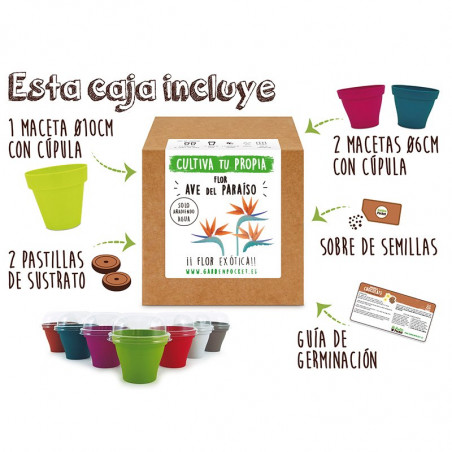KIT CULTIVO CAJA AVE PARAISO