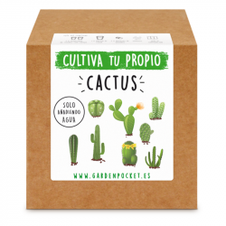 KIT CULTIVO CAJA CACTUS