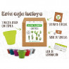 KIT CULTIVO CAJA CACTUS