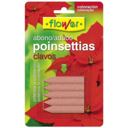 FLOWER ABONO CLAVOS POINSETTIAS 5 UDS