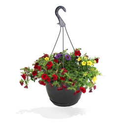 MILLION BELLS COLGANTE TARRINA 25 CM