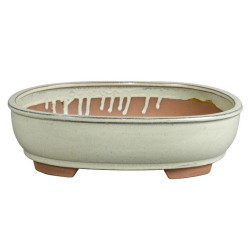 MACETA Y PLATO BONSAI ASUKA BLANCO