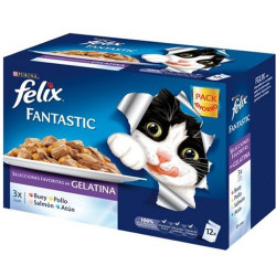 FELIX FANTASTIC SELECCIONES FAVORITAS EN GELATINA 12X100GR
