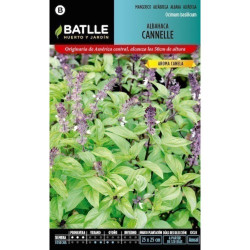 SEMILLAS ALBAHACA CANNELLE