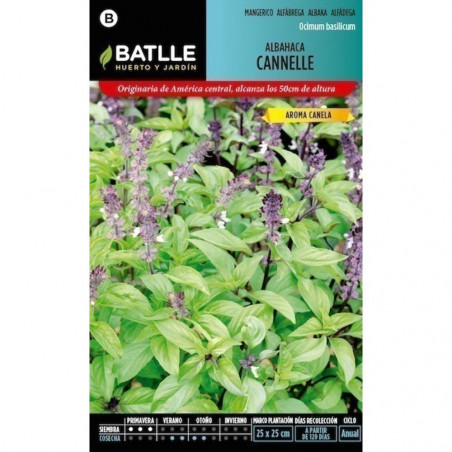 SEMILLAS ALBAHACA CANNELLE