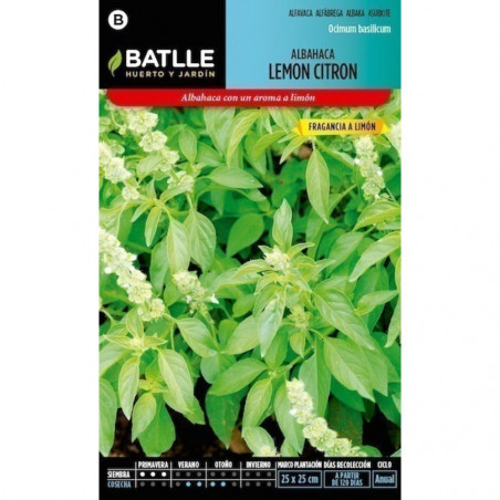 SEMILLAS ALBAHACA LEMON CITRON