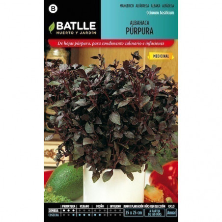 SEMILLAS ALBAHACA PURPURA