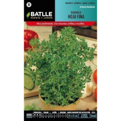 SEMILLAS ALBAHACA DE HOJA FINA