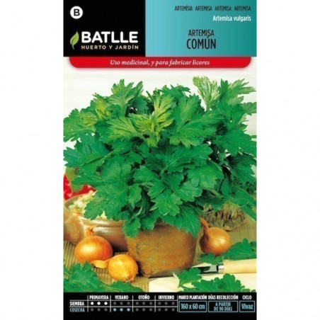 SEMILLAS ARTEMISA COMUN