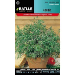 SEMILLAS COMINO