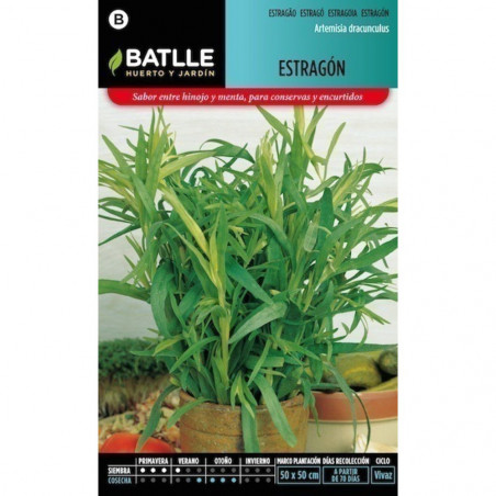 SEMILLAS ESTRAGON