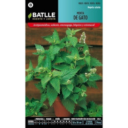 SEMILLAS MENTA DE GATO