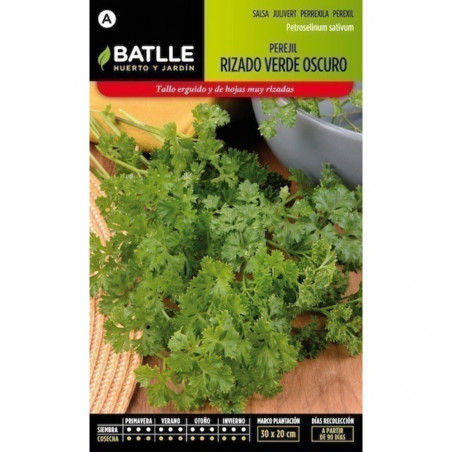 SEMILLAS PEREJIL RIZADO VERDE OSCURO
