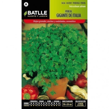 SEMILLAS PEREJIL GIGANTE DE ITALIA