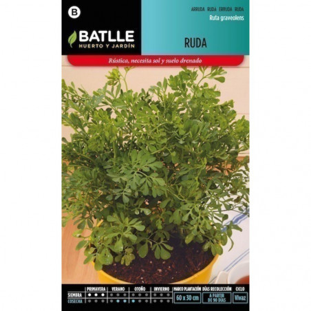SEMILLAS RUDA