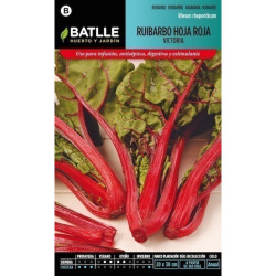 SEMILLAS RUIBARDO HOJA ROJA VICTORA