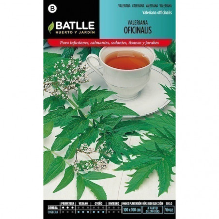 SEMILLAS VALERIANA OFFICINALIS