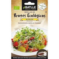 SEMILLAS ECOLOGICAS BROTES DE ALFALFA