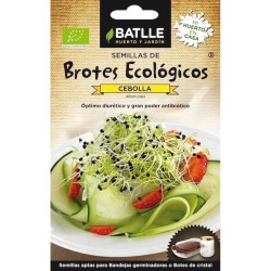 SEMILLAS ECOLOGICAS BROTES CEBOLLA