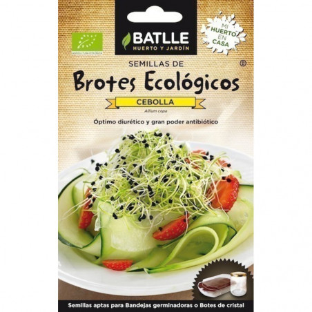 SEMILLAS ECOLOGICAS BROTES CEBOLLA