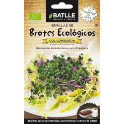 SEMILLAS ECOLOGICAS BROTES DE COL LOMBARDA