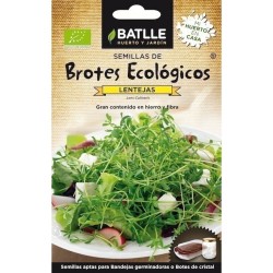 SEMILLAS ECOLOGICAS BROTES LENTEJAS
