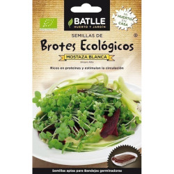 SEMILLAS ECOLOGICAS BROTES DE MOSTAZA BLANCA