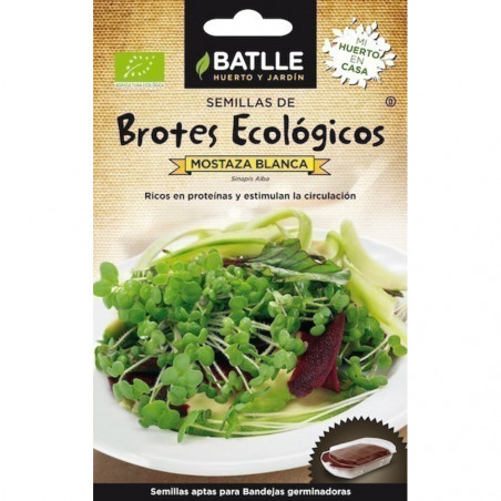 SEMILLAS ECOLOGICAS BROTES DE MOSTAZA BLANCA