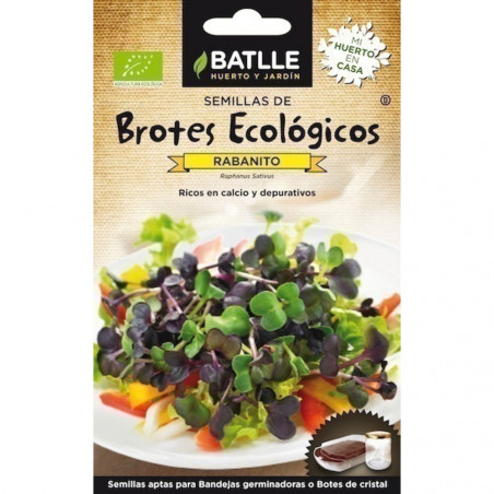 SEMILLAS ECOLOGICAS BROTES DE RABANITO