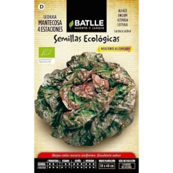 SEMILLAS ECOLOGICAS LECHUGA MANTECOSA CUATRO ESTACIONES