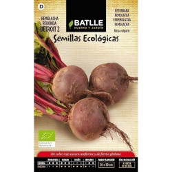 SEMILLAS ECOLOGICAS REMOLACHA DETROIT 2