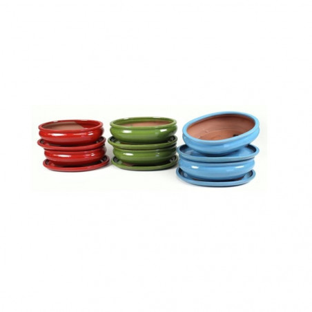 MACETA BONSAI BASIC OVAL COLORES CON PLATO 25CM