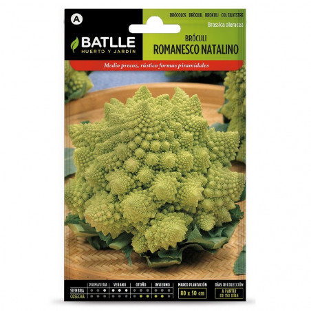 SEMILLAS BROCOLI ROMANESCO NATALINO