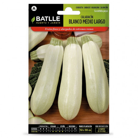 SEMILLAS CALABACIN BLANCO MEDIO
