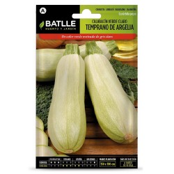 SEMILLAS CALABACIN TEMPRANO ARGELIA