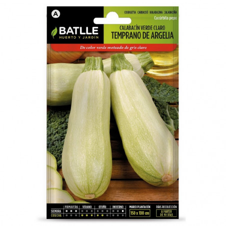 SEMILLAS CALABACIN TEMPRANO ARGELIA