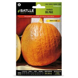 SEMILLAS CALABAZA BIG MAX