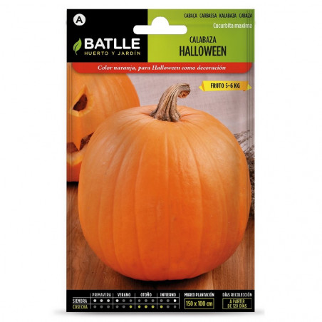 SEMILLAS CALABAZA HALLOWEEN