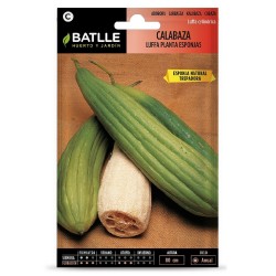 SEMILLAS CALABAZA LUFFA
