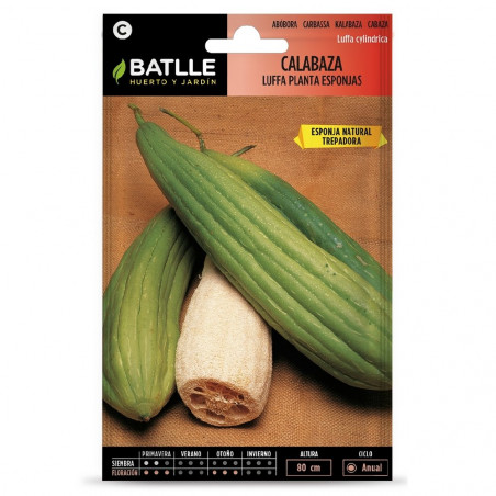 SEMILLAS CALABAZA LUFFA